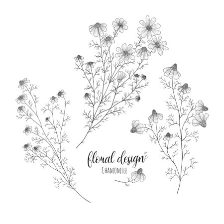 Collection of hand drawn flowers and plants. Monochrome vector illustrations in sketch styleのイラスト素材