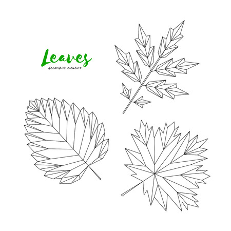 Set of graphical line leaves. Illustration for greeting cards, invitations, and other printing projects.のイラスト素材