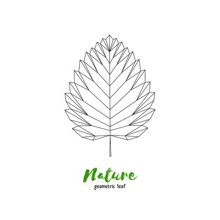 Vector geometrical birch leaf. Illustration for greeting cards, invitations, and other printing projects.のイラスト素材