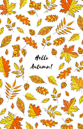 Hand drawn autumn leaves with text Hello autumn. Background with Fall leaves. Forest design elementsのイラスト素材