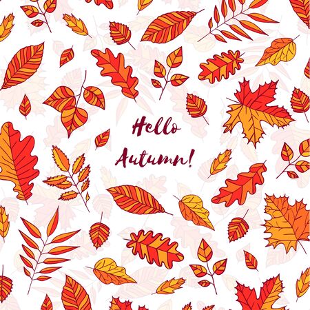 Hand drawn autumn leaves with text Hello autumn. Background with Fall leaves. Forest design elementsのイラスト素材