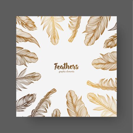 Vector design template with gold feathers for invitations, wedding greeting cards, certificate, labels.のイラスト素材