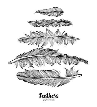 Hand drawn feathers set on white background.のイラスト素材