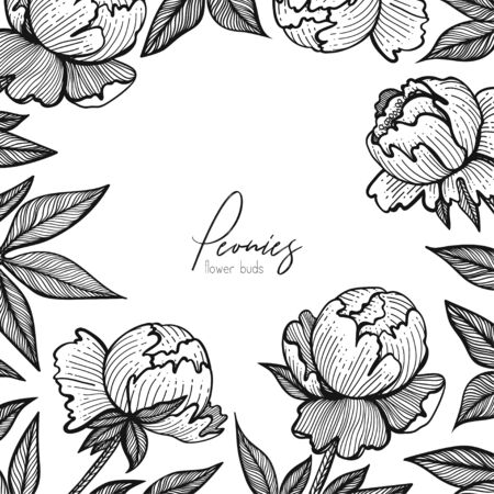 A Vector floral frame with peonies. Detailed graphic flowers for your design small boxes, business cards, backgrounds and posts for social media, packaging, labels and tagsのイラスト素材