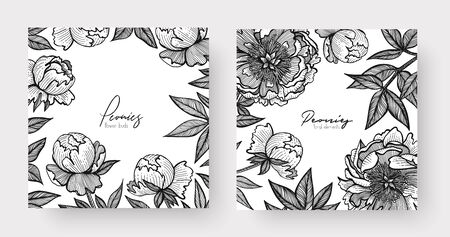 Graphic detailed frame with peony flowers and leaves, Two design templates vector illustrationのイラスト素材