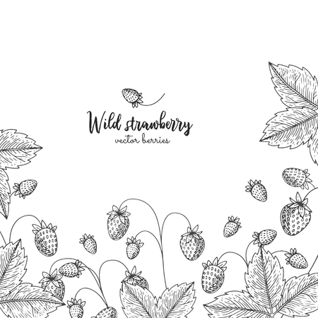 Engraving illustration with wild strawberries. Detailed frame with berries. Hand drawn elements for invitations, greeting cards, wrapping paper, cosmetics packaging, labels, tags, posters etcのイラスト素材