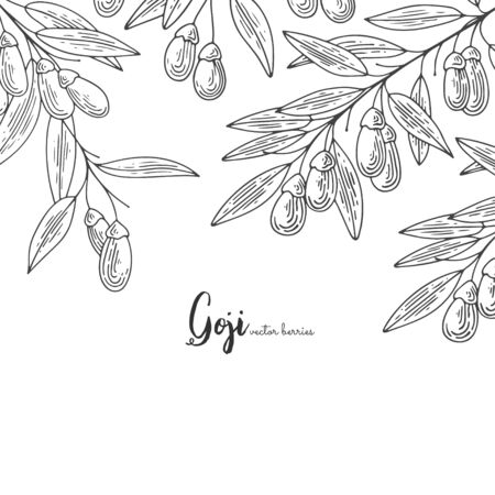 Detailed frame with goji berries. Hand drawn elements for invitations, greeting cards, wrapping paper, cosmetics packaging, labels, tags, posters etcのイラスト素材