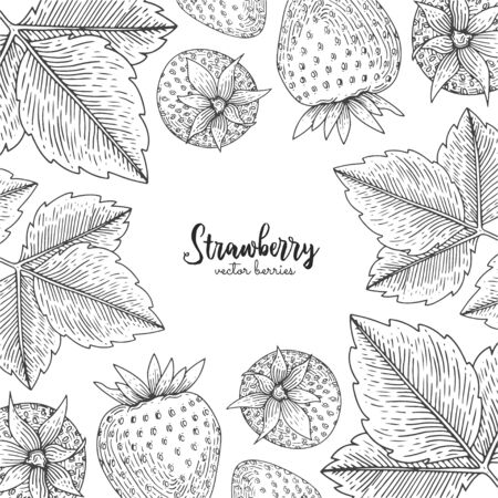 Hand drawn illustration of strawberry isolated on white background. Berries engraved style illustration. Detailed frame with berries. Applicable for menu, flyer, label, poster, print, packaging.のイラスト素材