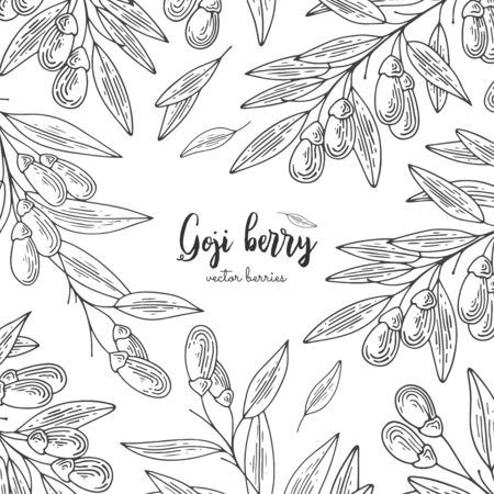 Detailed frame with goji berry. Isolated hand drawn illustration on white background. Design elements for menu, promotion, advertising, cards, wrapping paper, cosmetics packaging.のイラスト素材