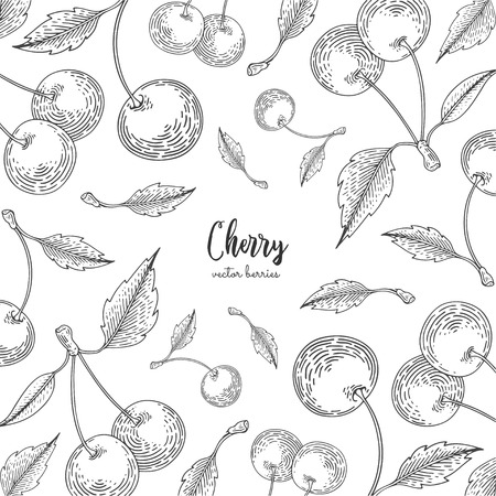 Hand drawn illustrations of cherries isolated on white background. Detailed frame for menu, promotion, advertising, greeting cards, wrapping paper, cosmetics packaging, labels, flyer.のイラスト素材