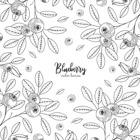 Hand drawn illustrations of blueberry isolated on white background. Detailed frame with blueberries, engraving sketch vintage style. Applicable for menu, brochures, flyers.のイラスト素材