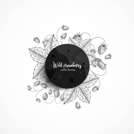 Vector round banner with wild strawberry. Modern banner with hand drawn berries. With place for text.のイラスト素材