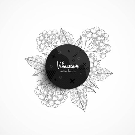 Vector round banner with bunch viburnum. Modern banner with hand drawn berries. With place for text.のイラスト素材