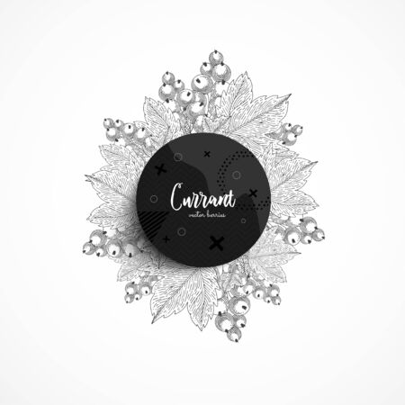 Vector round banner with bunch currant. Modern banner with hand drawn berries. With place for text.のイラスト素材