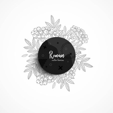 Vector round banner with wild strawberry.のイラスト素材