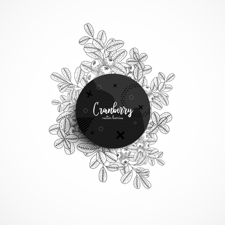 Vector round banner with cranberry.のイラスト素材