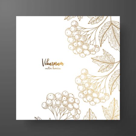 Gold card template for invitations, greeting cards, postcards, package design, or as a complement to a vintage project. Place for text. Vintage botanical engraving illustration of golden viburnumのイラスト素材