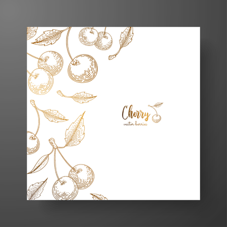 Gold card template for invitations, greeting cards, postcards, package design, or as a complement to a vintage project. Place for text. Vintage botanical engraving illustration of golden cherryのイラスト素材