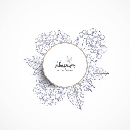 Vector round banner with viburnum. Vintage banner with hand drawn berries. With place for text. Great for label, packaging design, menu, cafe, restaurant, recipes, decoration kitchen items.のイラスト素材