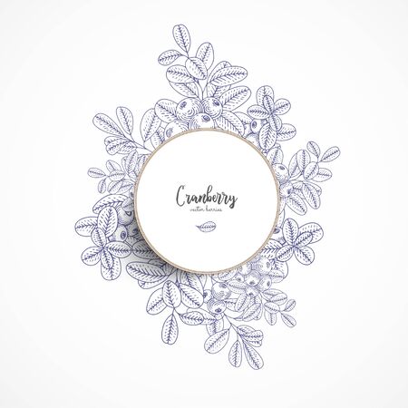 Vector round banner with cranberry. Vintage banner with hand drawn berries. With place for text. Great for label, packaging design, menu, cafe, restaurant, recipes, decoration kitchen itemsのイラスト素材
