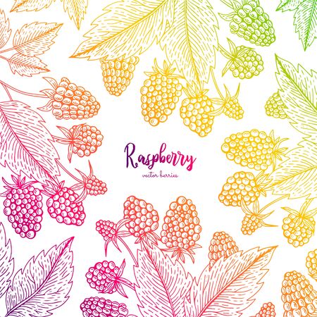 Colorful vector frame with raspberry. Healthy food design template with berries. Vegetarian food for label, packaging design, menu, cafe, restaurant, recipes, decoration kitchen itemsのイラスト素材