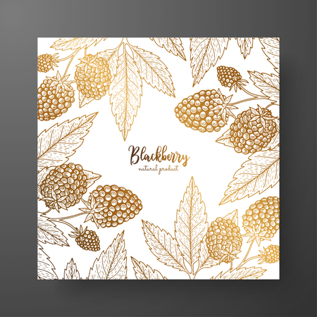 Cold card template with berries. Vintage engraving illustration of golden blackberryのイラスト素材