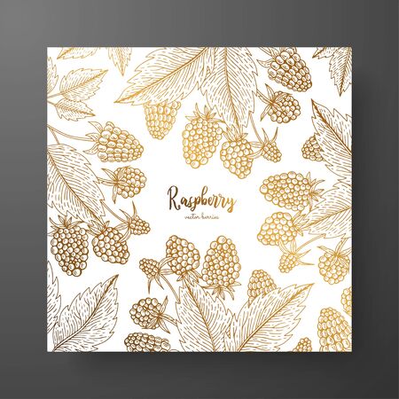 Cold card template with berries. Vintage engraving illustration of golden raspberryのイラスト素材