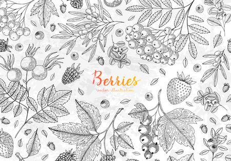 Vector illustration frame with currant, blueberry, cranberry, goji, raspberry, strawberry. Healthy food design template with berries on grunge background. Great for design menu, recipes, posterのイラスト素材