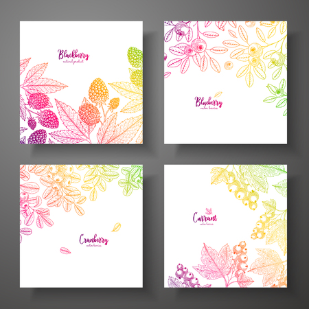 Set of colorful botanical cards with berries. Great design for natural and organic products. Vector vintage frame with bluberry, cranberry, currant.のイラスト素材
