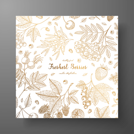 Square golden card with berries. Eco organic food. Vintage engraving. Design templates for menu, promotion, advertising, greeting cards, wrapping paper, cosmetics packaging, labels, flyer.のイラスト素材