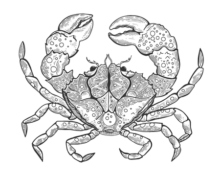 Hand drawn vintage graphic illustration with realistic crab. Marine creature. Vintage engraving illustration art. Healthy food. Templates for design sea shops, restaurants, markets.のイラスト素材