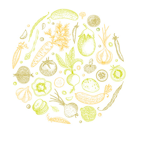 Vegetable hand drawn vintage vector illustration. Vegetarian set of organic products. Can be used for wrapping paper, street festival, farmers market, country fair, shop, menu, cafe, restaurant.のイラスト素材