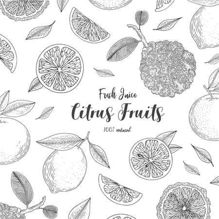 Organic citrus fruit banners. Healthy food. Engraving sketch vintage style. Vegetarian food for design menu, recipes, decoration kitchen items. Great for label, poster, packaging design.のイラスト素材