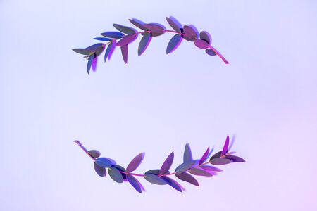 Light neon background with leaves. Glowing abstract backdrop with plants frame and space for your text. Exotic nature branch with blue and purple vivid colors. Summer twigs with shiny illuminationの写真素材