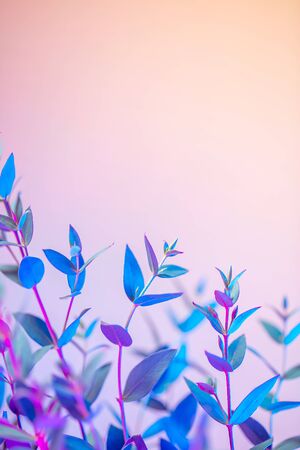 Light neon vertical background with leaves. Glowing abstract backdrop with shiny gradients on petals. Exotic floral branch with pink and blue vivid colors. Botanic twigs with beautiful illuminationの写真素材