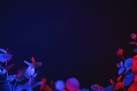 Light neon background with leaves. Glowing botanical backdrop with shiny gradients on plants. Exotic nature branch with red and blue vivid colors. Summer twigs with beautiful illuminationの写真素材