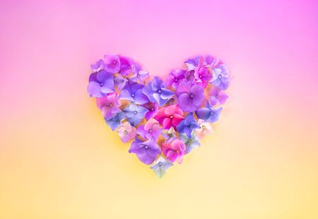 Heart symbol made of pink, blue and purple petals. Flowers of a colorful hydrangea on gradient background. Beautiful backdrop with pink and yellow pastel colors. Florets composition for love storyの写真素材