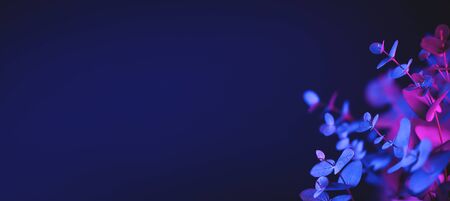 Light neon background with leaves. Colorful botanical backdrop with shiny gradients on plants. Exotic floral branch with pink and blue neon colors. Organic twigs with beautiful illuminationの写真素材