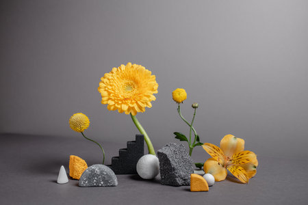 Creative and minimalistic staging of stones, varied shapes and vibrant plants. Modern geometric and natural background. Botanical backdrop with flowers. Trend colors - gray and yellowの写真素材