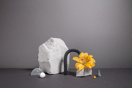 Natural concept with textured monochrome stones, varied figures and flower. Abstract minimalistic geometry objects. Modern background. Fashion colors of 2021 - yellow and grayの写真素材