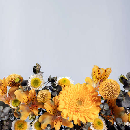 Creative botanical background with yellow flowers. Gray backdrop with colorful floral branches. Can be used for banner, poster.Summer flora with backlight.の写真素材