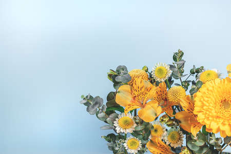 Blue background with yellow blooming flowers. Botanical backdrop with plants frame and space for your text.の写真素材