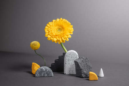 Natural concept with textured monochrome stones, varied figures and flowers. Abstract minimalistic geometry objects. Modern background. Fashion colors of 2021 - yellow and grayの写真素材