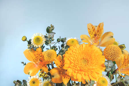 Blue background with yellow blooming flowers. Botanical backdrop with plants frame and space for your text. Can be used for banner, poster. Spring flora with backlightの写真素材