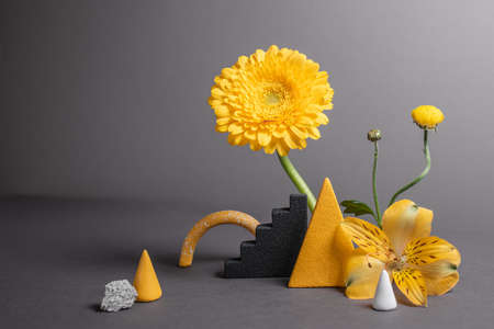 Abstract geometric figures with shadows on dark background. Minimalistic natural elements with varied shapes. Modern background with flowers and stones. Trendy colors of 2021 year - gray and yellowの写真素材