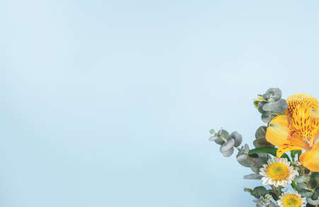 Creative botanical background with yellow flowers. Gray backdrop with colorful floral branches. Can be used for banner, poster.Summer flora with backlight.の写真素材