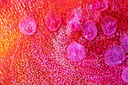 Epoxy resin paint with red, pink, orange and white colors. Fluid background with splashes and swirls. Abstract frozen artwork with splatter inks. Vibrant colors mixes on macrophotography poster.の写真素材