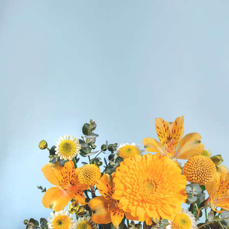 Creative botanical background with yellow flowers. Gray backdrop with colorful floral branches. Can be used for banner, poster.Summer flora with backlightの写真素材