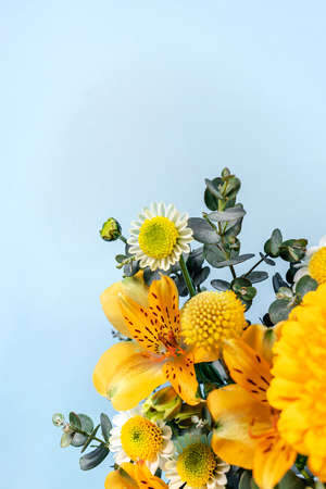Blue background with yellow blooming flowers. Botanical backdrop with plants frame and space for your text. Can be used for banner, poster. Bright composition with spring flora.の写真素材