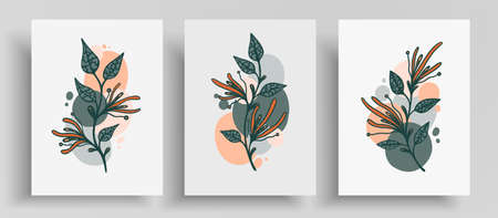 Abstract minimalistic template layout with botanical elements and round shapes. Vector set with outline plants and pastel circles that designed for wall decoration, postcard or poster, cover design.のイラスト素材